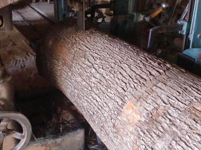 楠の木製材